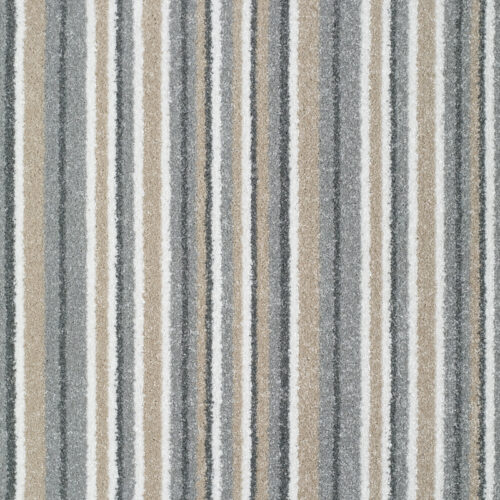 Banquet Cardamon 50×50