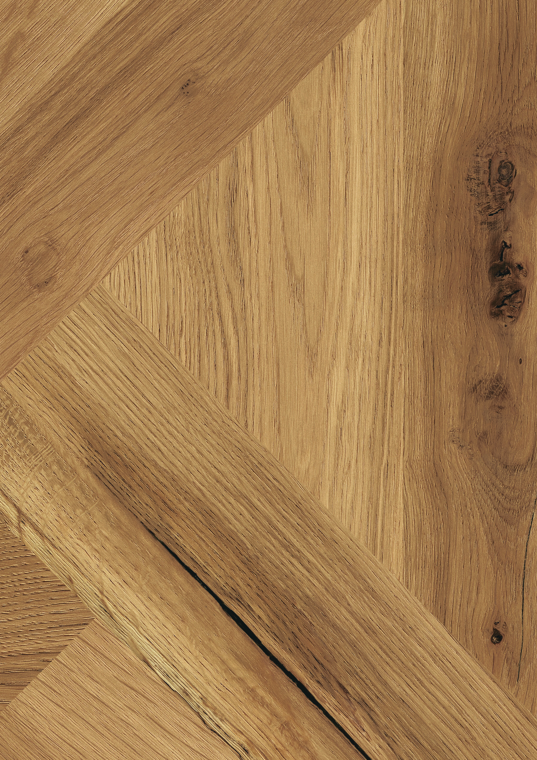 Kaindl Milano Oak Reale 8mm Laminate Flooring product image 5