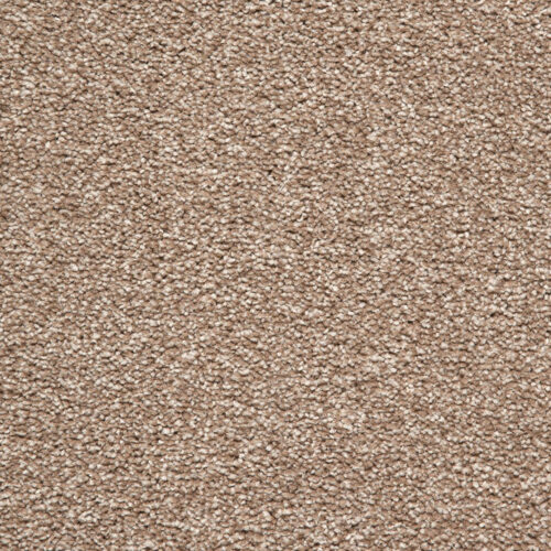 Splendid Saxony Sand