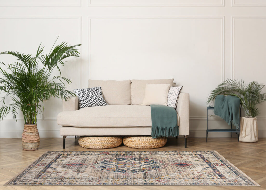 Nuevo Leona Grey Rug
